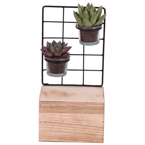 Succulent Metal Stand with Glass on Wood 15 cm 2PP