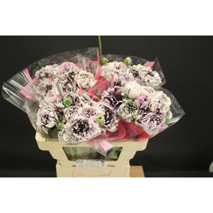 Ran Brushmark Estrada 50cm