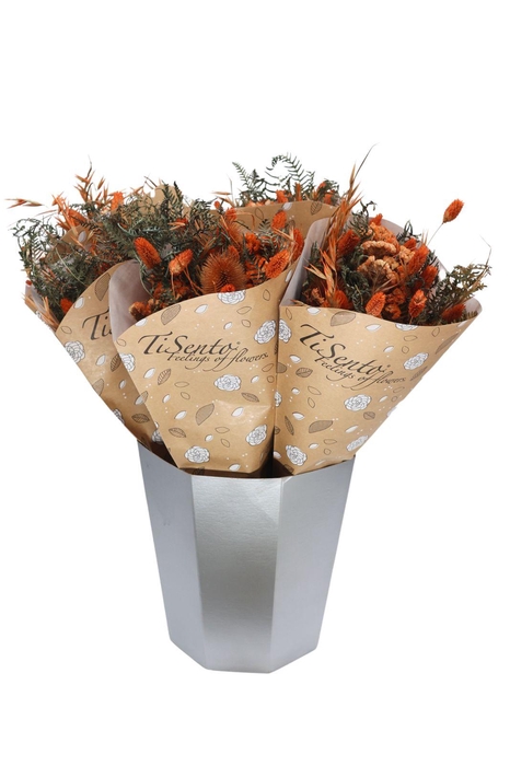 <h4>DROOGBL BEWERKT H%</h4>