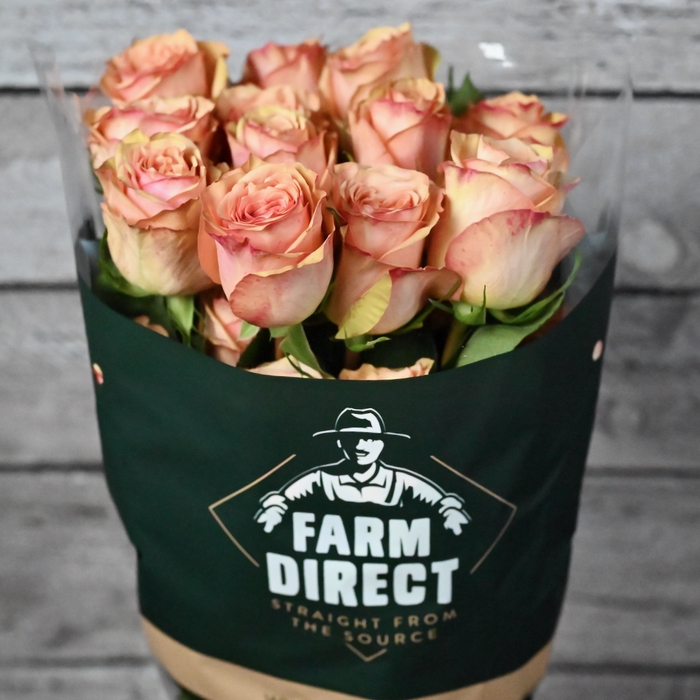 <h4>R Gr Desert Rose</h4>