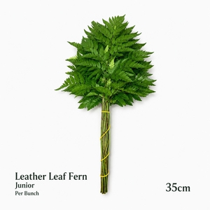ŽAL LEATHER LEAF 35CM