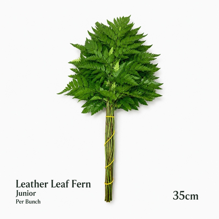 <h4>ŽAL LEATHER LEAF 35CM</h4>