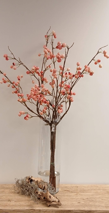<h4>Berry Spray Pink</h4>