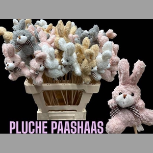KNUFFEL PAASHAAS MIX OP STOK