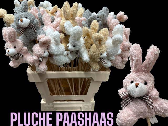 <h4>KNUFFEL PAASHAAS MIX OP STOK</h4>