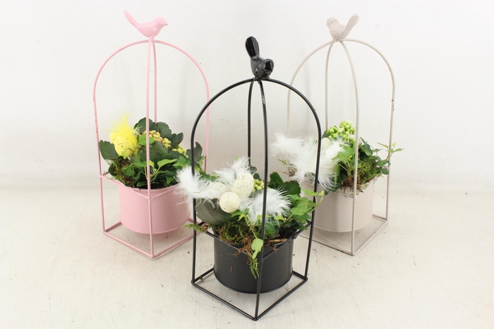 arr4 Narcis TD - Metaal vogelhuisje mix