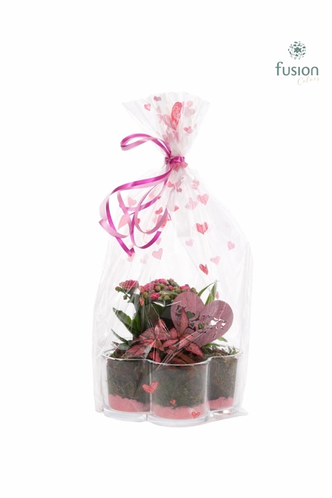 <h4>Glazen Bloemschaalmet Arrangement</h4>