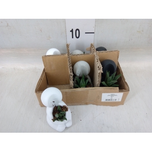 Arr.  Succulents L%
