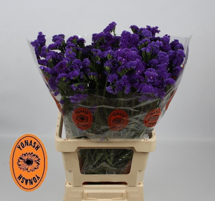 <h4>LIM S CRYST DARK BLU</h4>