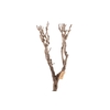 Syringa Branch Extra Decker