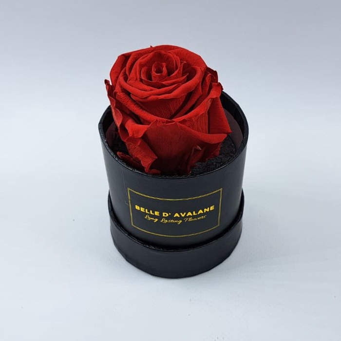 <h4>Box rd 8cm zwart-rood</h4>