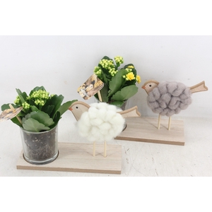 arr2 MB - Kalan. met vogel op plank x6