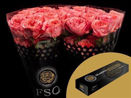 <h4>R Gr Candy X-pression Box</h4>