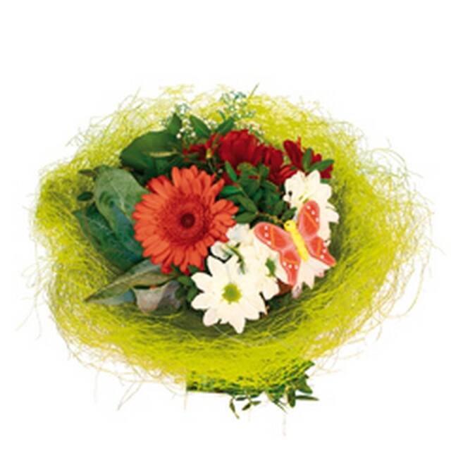 <h4>Bouquet holder sisal round loose Ø20cm l. green 10pce/bundle</h4>