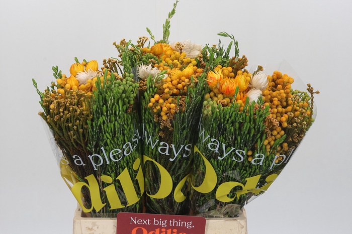 <h4>BQ Kaaps Groen Sunset Mix</h4>