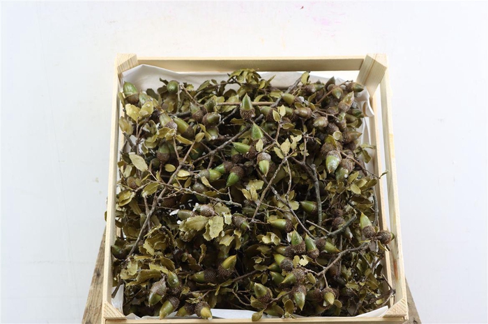 <h4>Steeneik Wax Natural Crate</h4>