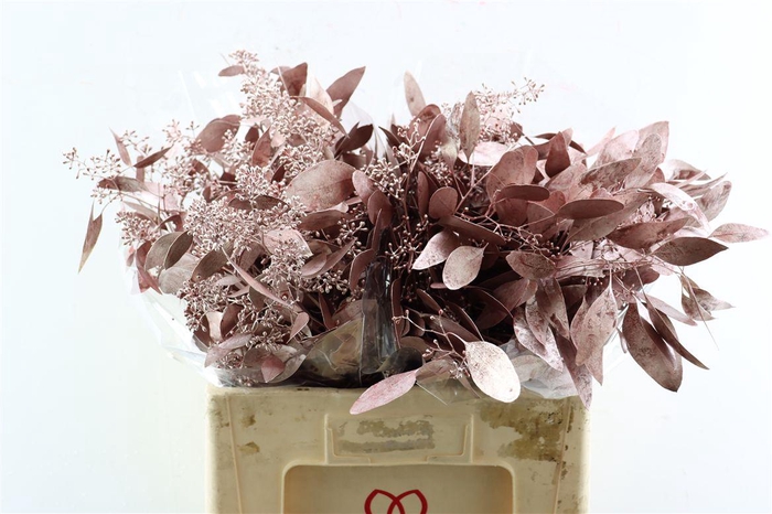 <h4>Euca Populus Berry Metal Red P Bunch</h4>