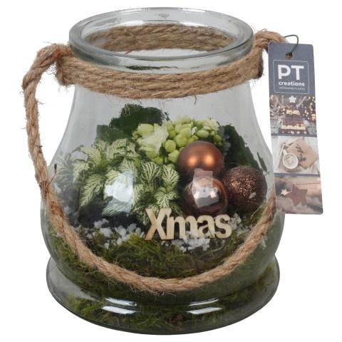 <h4>Opm Pt PTCHB9860 X-mas Bronze Glas Pot</h4>