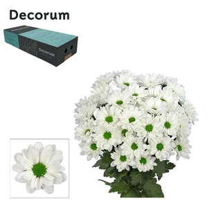 Chr T Chic Decorum Exportbox