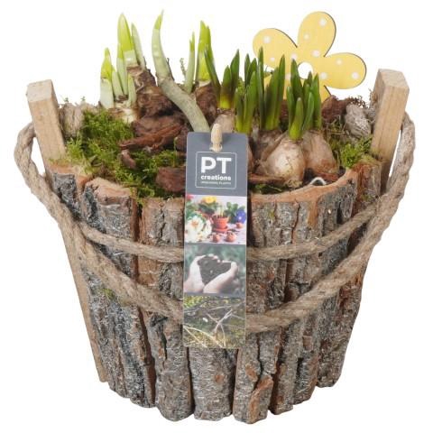 <h4>PTBM3910 Arrangement Flower Bulbs Mix in houten pot</h4>