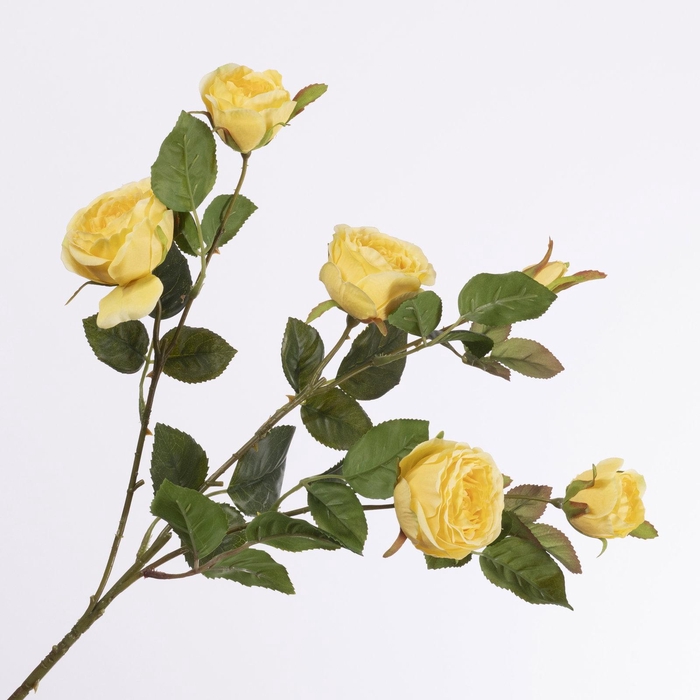 <h4>Rosa Spray Yellow FL440243YEL</h4>