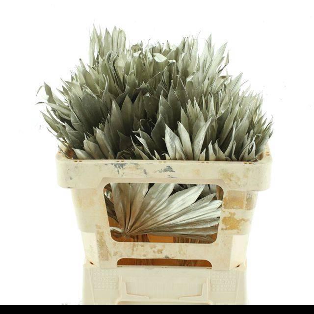 <h4>DROOGBL BEWERKT H%</h4>