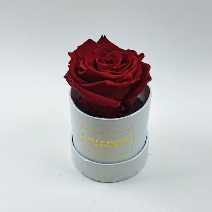 Box rd 8cm wit-bordeaux