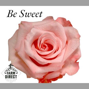 R Gr Be Sweet