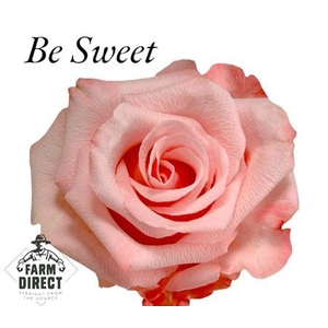 R Gr Be Sweet