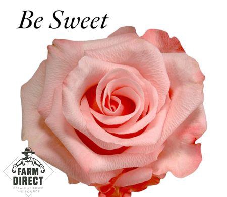 <h4>R Gr Be Sweet</h4>