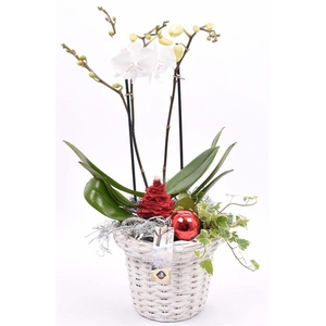 Wilg bloempot wit 18cm