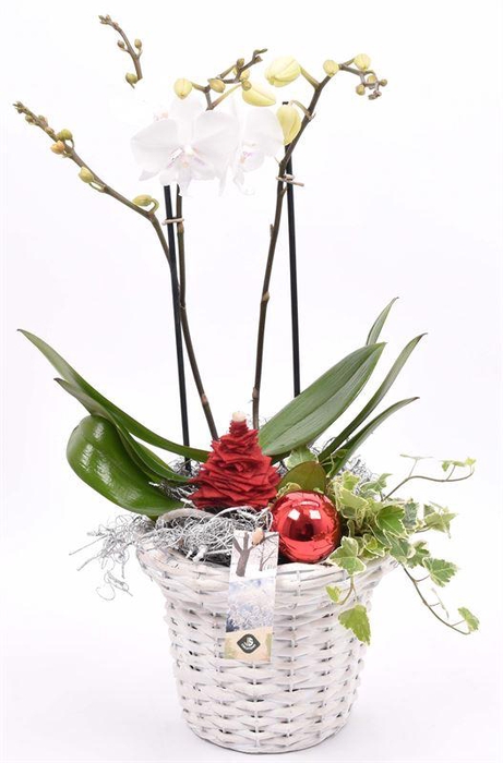 <h4>Wilg bloempot wit 18cm</h4>