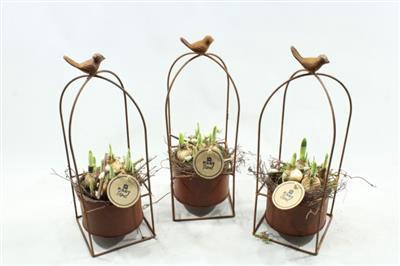 <h4>3439 Vogelkooi Roest Tete</h4>