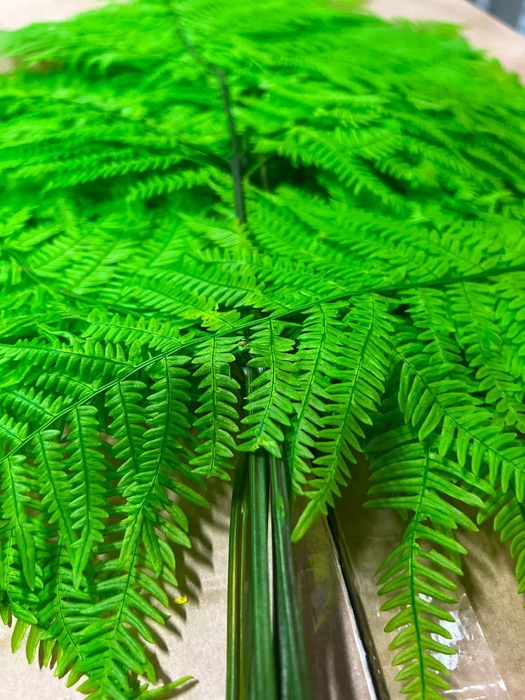 <h4>GESTABILISEERD VAREN APPELGROEN</h4>