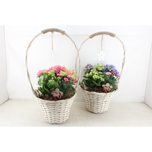 arr4 Outdoor MB - Hengselm. flower hanger x2