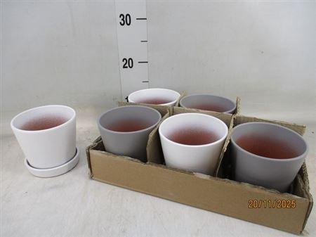 <h4>Dec Keramiek Gem+schotel</h4>