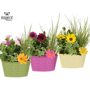 31689: Outdoor summer arrangement