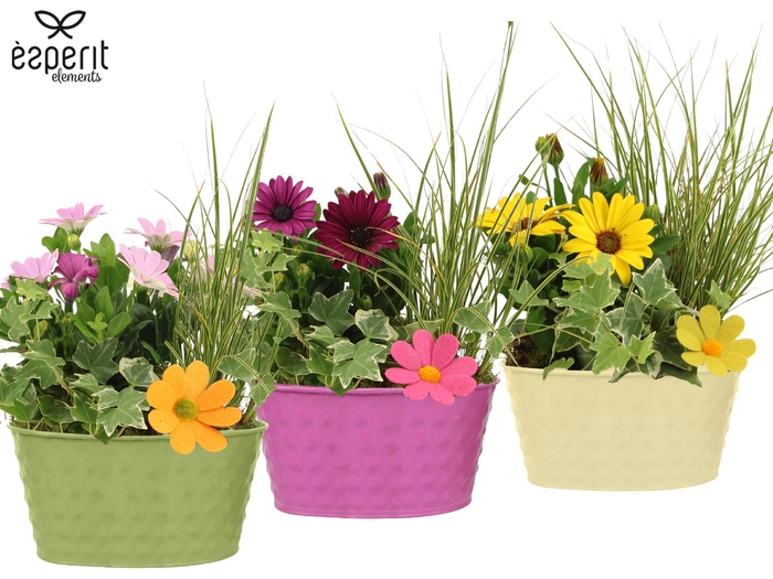 <h4>31689: Outdoor summer arrangement</h4>