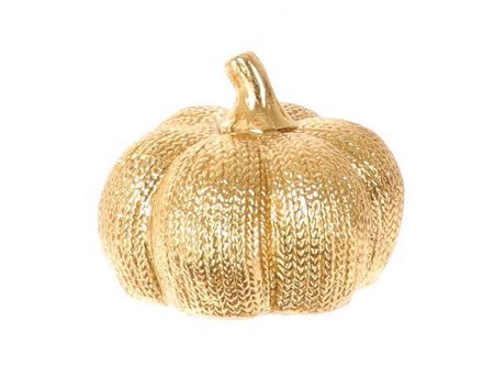 <h4>Pumpkin Latrel H9d11</h4>