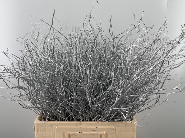 <h4>VACC KLB H%</h4>