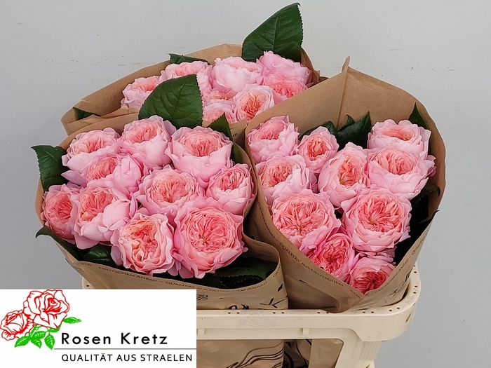 <h4>R GR MAYFIELD!</h4>