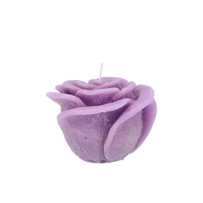 <h4>Candle Roos Lila 8x7cm</h4>
