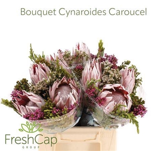 Bouquet Cynaroides Carousel
