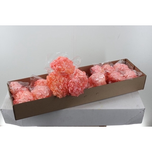 Hydr Preserved Cotton Premium