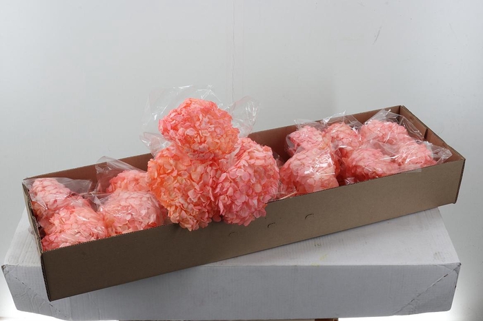 <h4>Hydr Preserved Cotton Premium</h4>