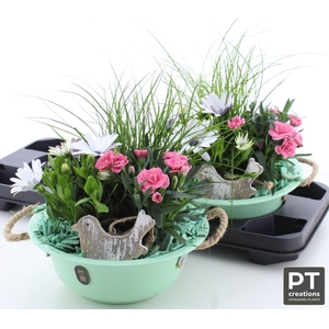 ARR TUINPLANTEN