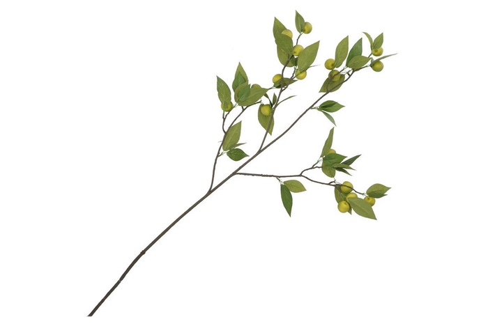 <h4>Silk Apple Plum Claude Green 135cm Nm</h4>