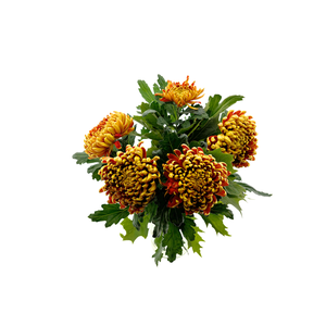 Bouquet Chrysanthemum Autumn