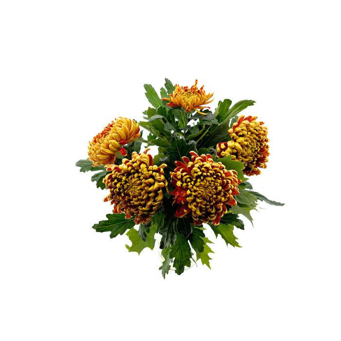 <h4>Bouquet Chrysanthemum Autumn</h4>