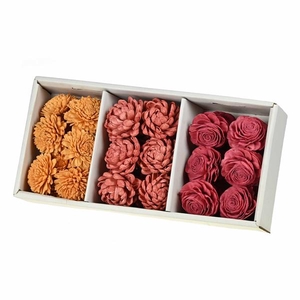 Sola Flower 8cm 36pc Red Mix